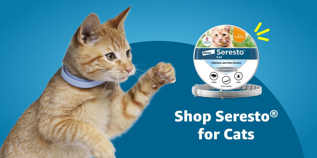 Seresto Cat Collar
